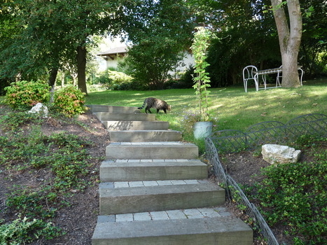 vue sur le jardin