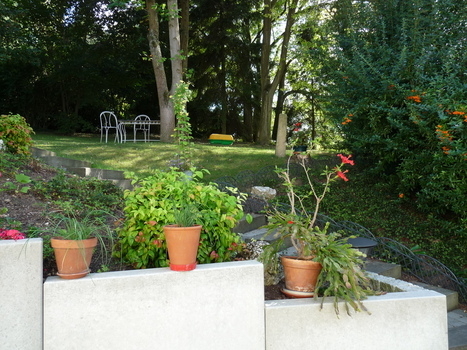 vue sur le jardin